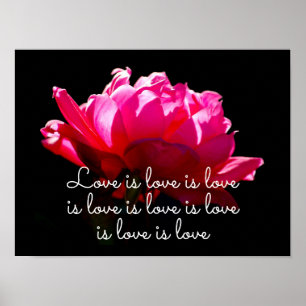 Liebe ist Liebe Dramatisches Rose Poster