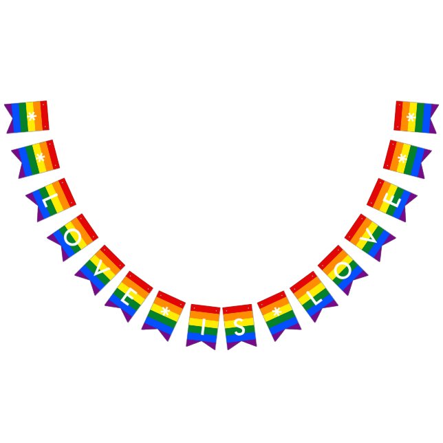 Liebe ist Liebe Rainbow Flag LGBT Pride Wedding Pa Wimpelkette (Alle)