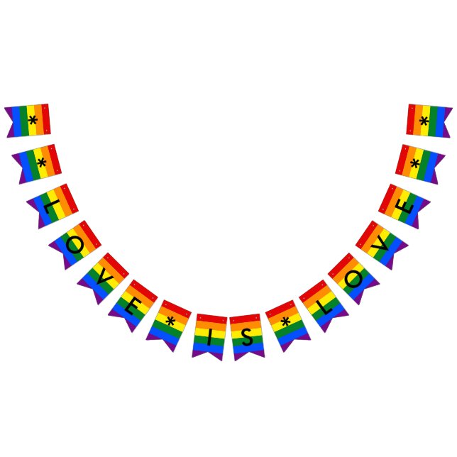 Liebe ist Liebe Rainbow Flag LGBT Pride Wedding Pa Wimpelkette (Alle)