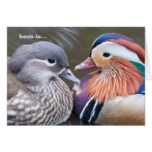 Liebe ist… Mandarinen