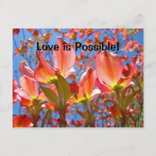 Liebe ist möglich! Postkarten Pink Dogwood Blume