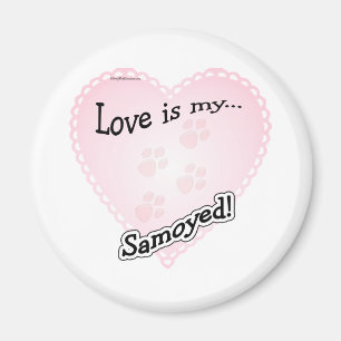 Liebe ist My Samoyed - Magnet