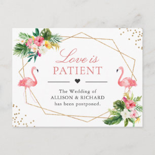 Liebe ist Patient Tropical Flamingo Hochzeit Neues Postkarte