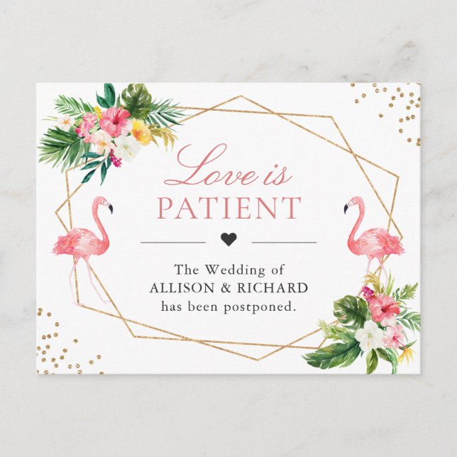 Liebe ist Patient Tropical Flamingo Hochzeit Neues Postkarte (Vorderseite)