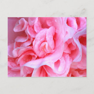 Liebe ist_ postkarte