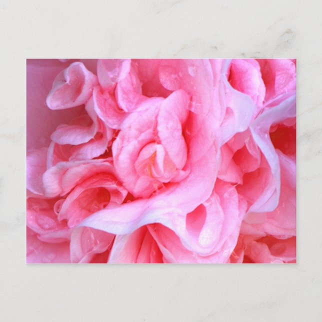 Liebe ist_ postkarte (Vorderseite)