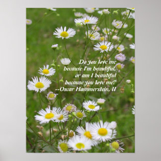 Liebe ist schön poster