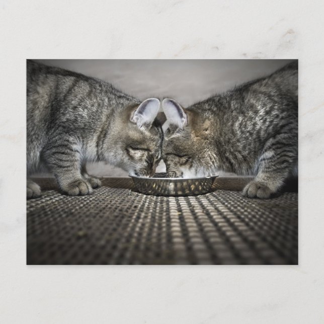 Liebe ist ... teilen postkarte (Vorderseite)