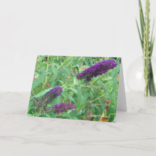 Liebe ist wie eine Schmetterlingszitat-Grußkarte Karte