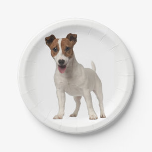 Liebe Jack Russel Terrier Welpen Hunde Papier Tell Pappteller