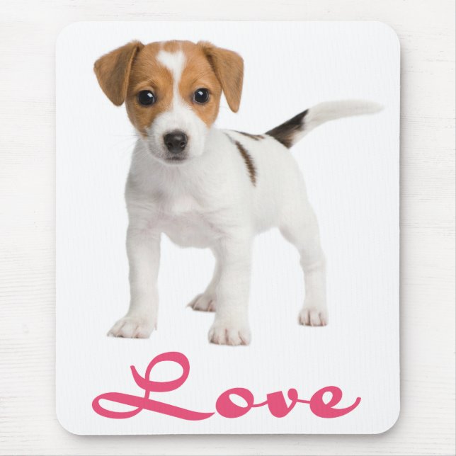 Liebe Jack Russell Terrier Welpe Hund Mousepad (Vorne)