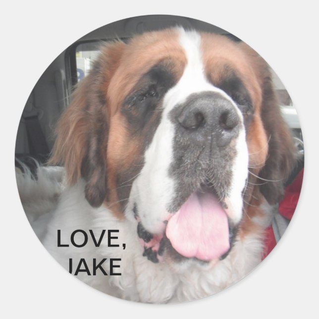 LIEBE, JAKE STICKER (Vorderseite)