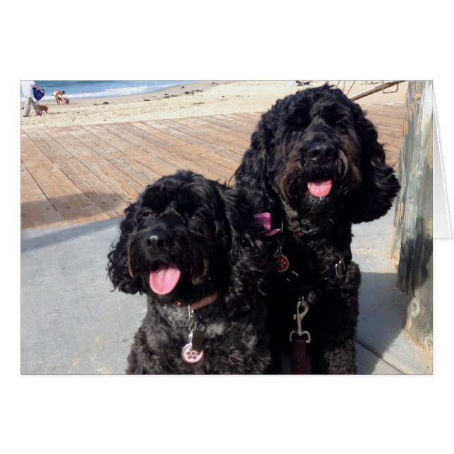 Liebe kardieren für immer (Vorderseite (Horizontal))