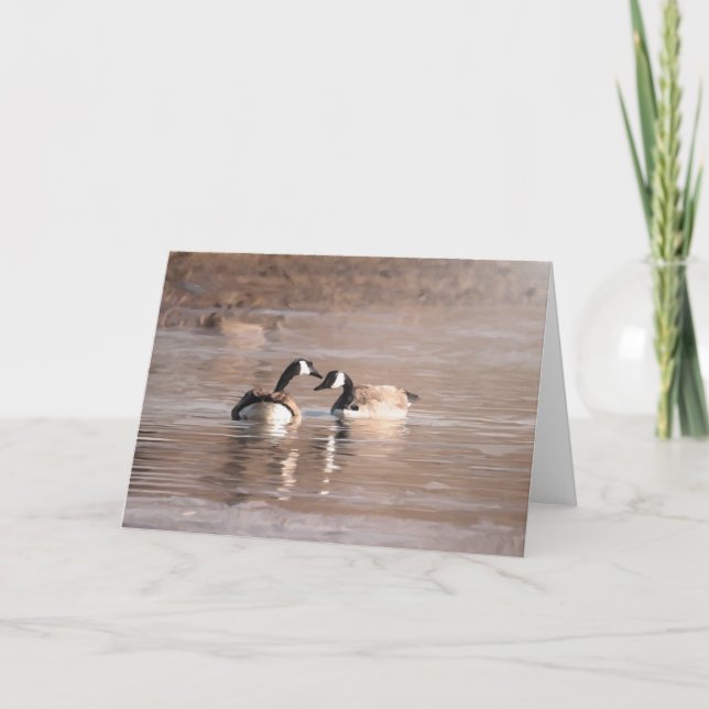 "Liebe"-Karten für Wildtiere und im Freien Karte (Vorderseite)