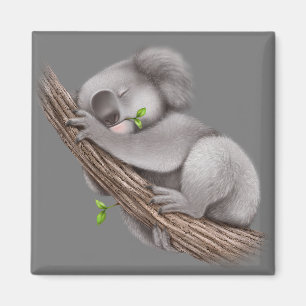 Liebe Koala Bears Magnet