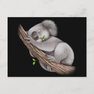 Liebe Koala Bears Postkarte