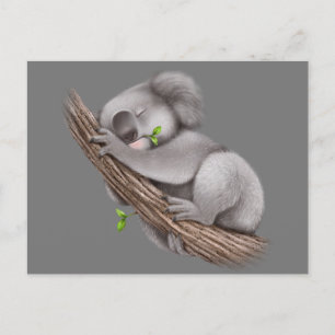 Liebe Koala BearsPostkarte Postkarte