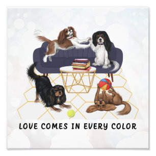 Liebe kommt in allen Farben Cavalier King Charle Fotodruck