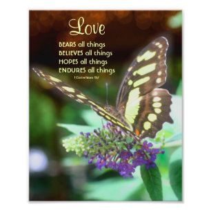 Liebe Korinther 13:7 Butterfly Bibelangebot 8x10 Fotodruck