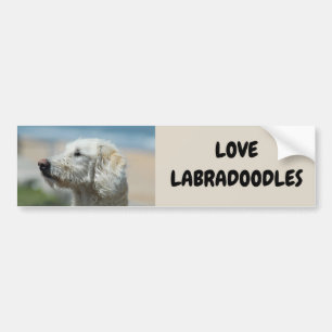 Liebe Labradoodles Autoaufkleber