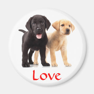 Liebe Labrador Retriever Puppies Kühlschrankmagne Magnet