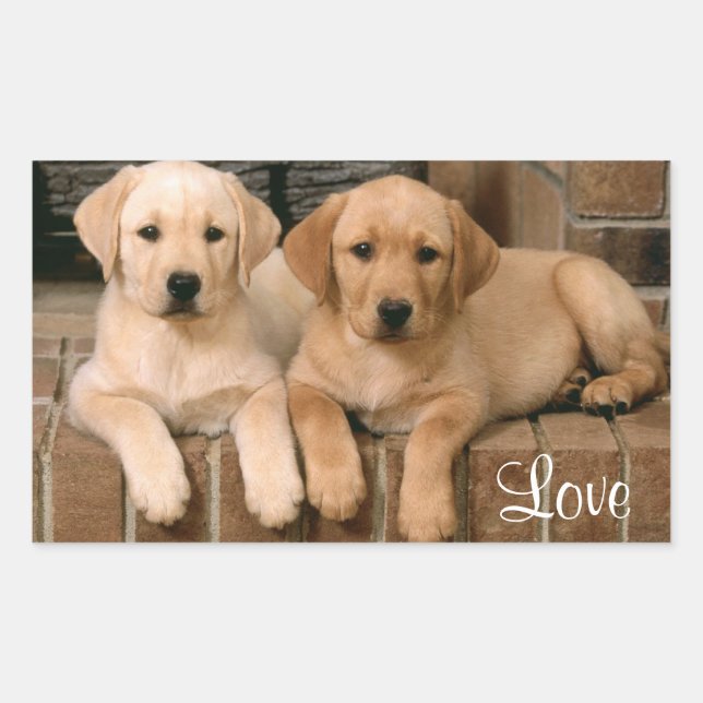 Liebe Labrador Retriever Welpen Sticker (Vorderseite)