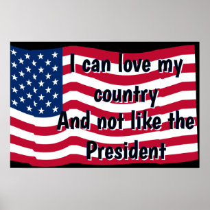 Liebe Land Nicht Präsident Poster