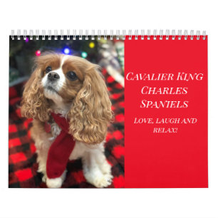 Liebe, Laugh & Relax Cavalier King Charles Spaniel Kalender