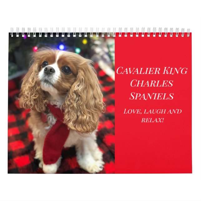 Liebe, Laugh & Relax Cavalier King Charles Spaniel Kalender (Titelbild)