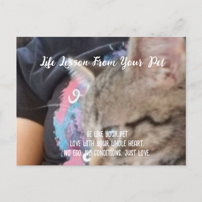 Liebe Lebensunterricht vom Haustier Feiertagspostkarte (Vorderseite)