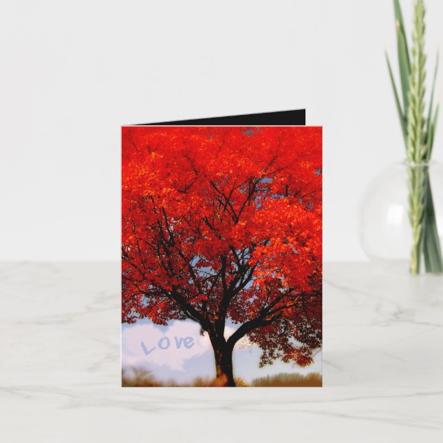 Liebe liegt in der Luft... Dankeskarte (Vorderseite)