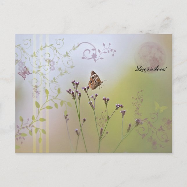 Liebe liegt in der Luft! Postkarte (Vorderseite)