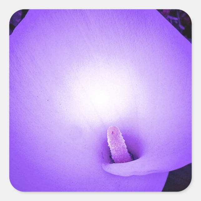 Liebe Light, Lilie_ Quadratischer Aufkleber (Vorderseite)