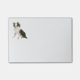 Liebe Long Hair Chihuahua Welpe Hund Post-it Klebezettel