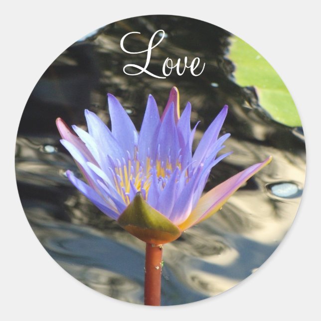 Liebe Lotus Runder Aufkleber (Vorderseite)