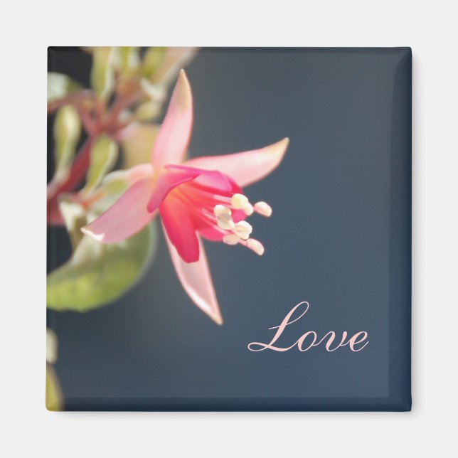 Liebe Magnet (Vorne)