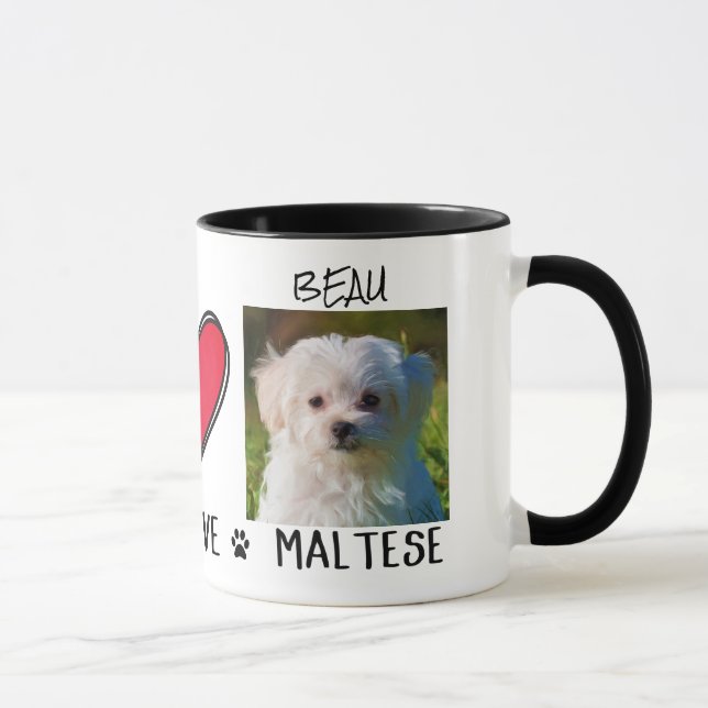 Liebe Malteser Hund liebt Tasse (Rechts)