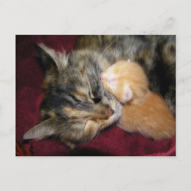 Liebe Mama Postkarte (Vorderseite)