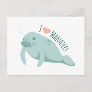 Liebe Manatees Postkarte