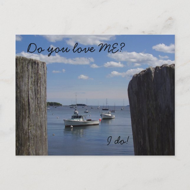 Liebe Me Maine Postcard Postkarte (Vorderseite)