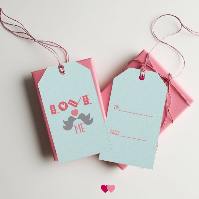 Liebe Me Turquoise Valentinstag Geschenkanhänger (Cute Birds Love Me Turquoise Valentine's Day Gift Tags)