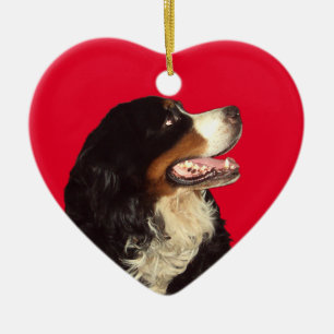 Liebe mein Bernese Gebirgshund Keramik Ornament