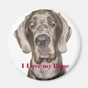 Liebe mein Däne Magnet