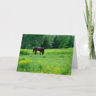 LIEBE MEIN HORSIE! KARTE