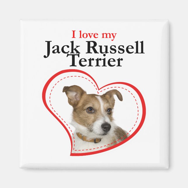 Liebe Mein Jack Russell Terrier Magnet (Vorne)
