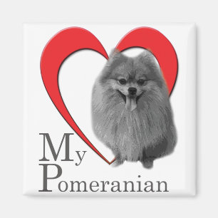 Liebe Mein Spitz Magnet