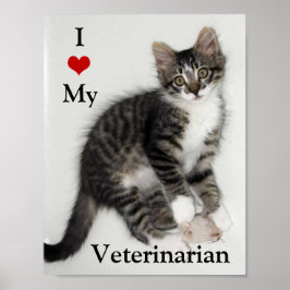 Liebe Mein Tierarzt Zorro Kitty Poster
