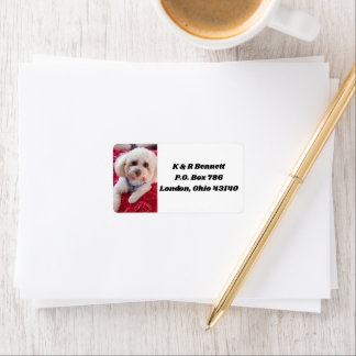 Liebe Meine Poodle-Adressbezeichnungen Adressaufkleber