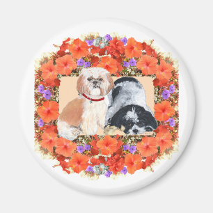Liebe meinen Shih Tzu Magnet