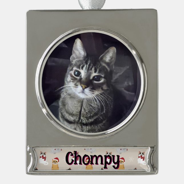 Liebe meiner Katzen Banner-Ornament Silber (Vorderseite)